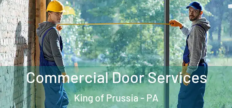  Commercial Door Services King of Prussia - PA
