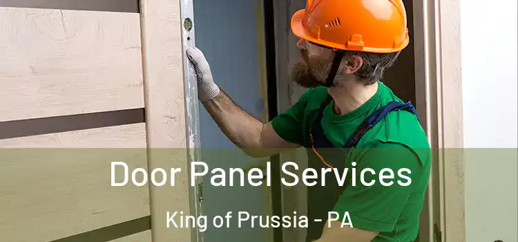  Door Panel Services King of Prussia - PA