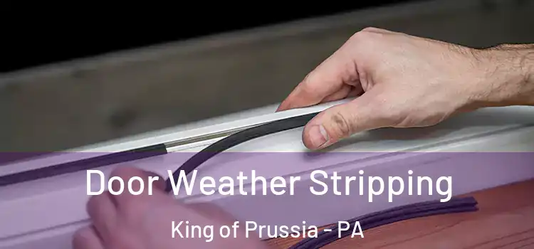  Door Weather Stripping King of Prussia - PA