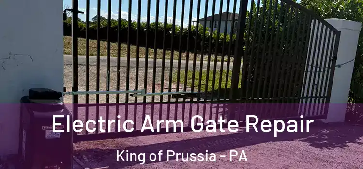 Electric Arm Gate Repair King of Prussia - PA
