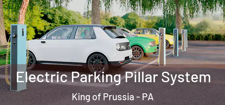  Electric Parking Pillar System King of Prussia - PA