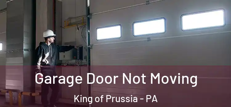  Garage Door Not Moving King of Prussia - PA