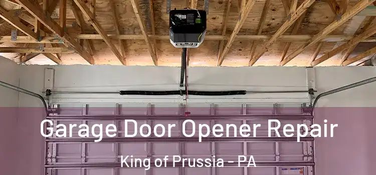  Garage Door Opener Repair King of Prussia - PA