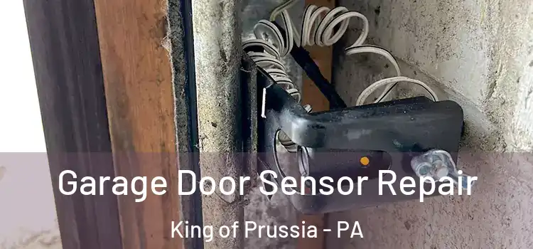  Garage Door Sensor Repair King of Prussia - PA