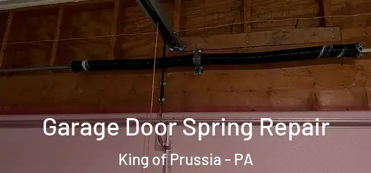  Garage Door Spring Repair King of Prussia - PA