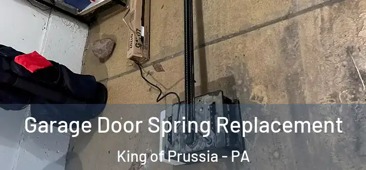  Garage Door Spring Replacement King of Prussia - PA