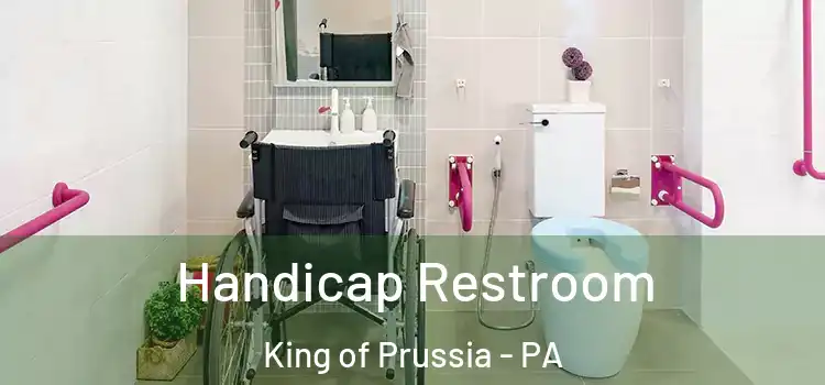  Handicap Restroom King of Prussia - PA