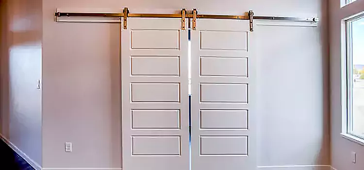 Glass Barn Door with Installation Hardware Kit King of Prussia