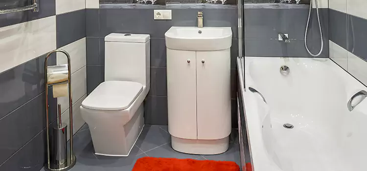 Hansgrohe Shaving Mirror King of Prussia