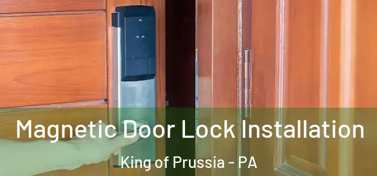  Magnetic Door Lock Installation King of Prussia - PA