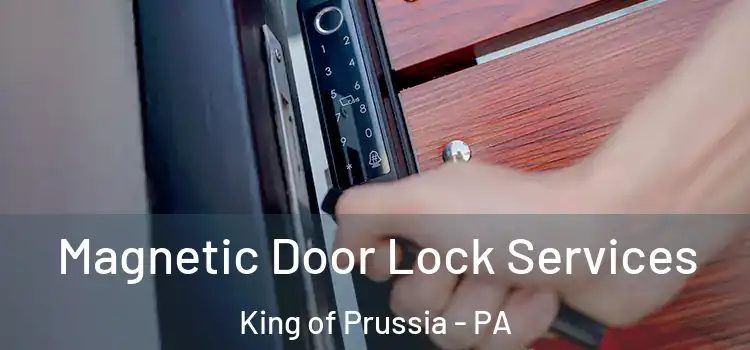  Magnetic Door Lock Services King of Prussia - PA