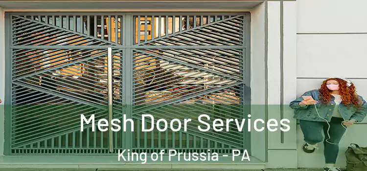  Mesh Door Services King of Prussia - PA