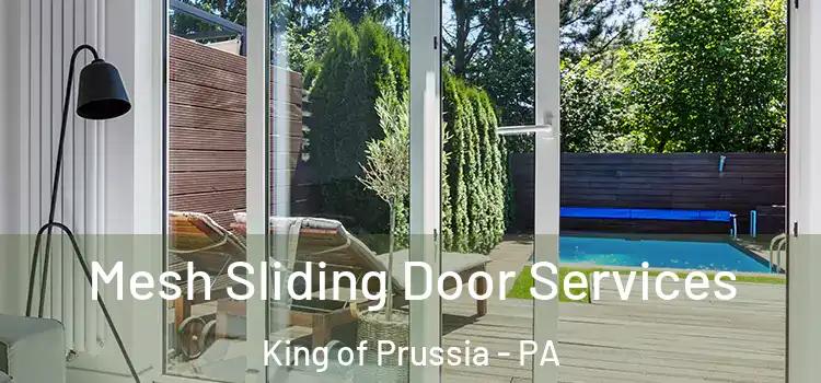  Mesh Sliding Door Services King of Prussia - PA