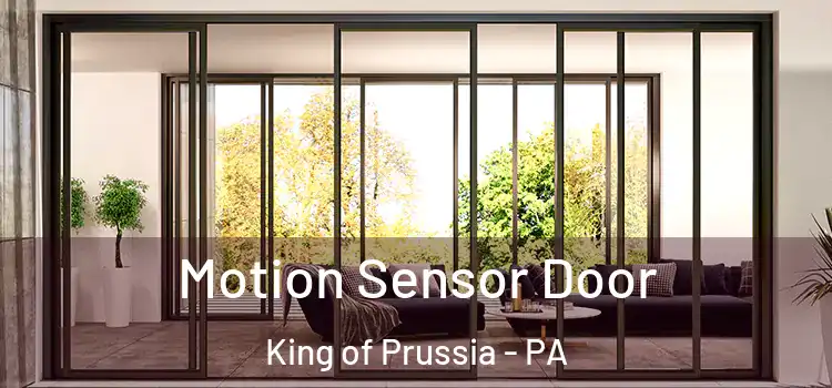  Motion Sensor Door King of Prussia - PA