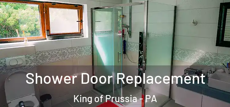  Shower Door Replacement King of Prussia - PA