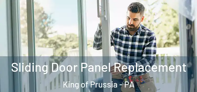  Sliding Door Panel Replacement King of Prussia - PA