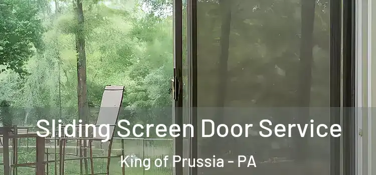  Sliding Screen Door Service King of Prussia - PA