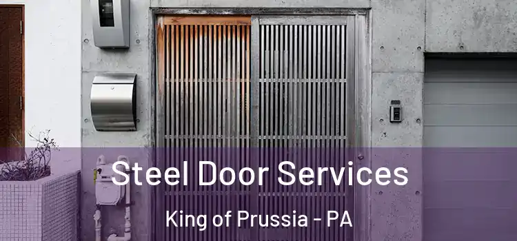  Steel Door Services King of Prussia - PA